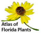 Florida Plants Atlas