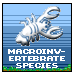 Macroinvertebrate Data