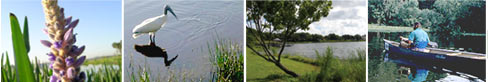 Nature images