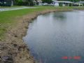 Boggy Creek Watershed